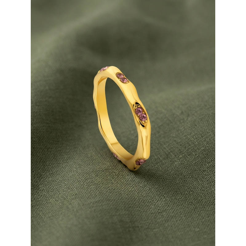 ELRA Purple Stainless Steel 18K Gold Plated Ring (6)