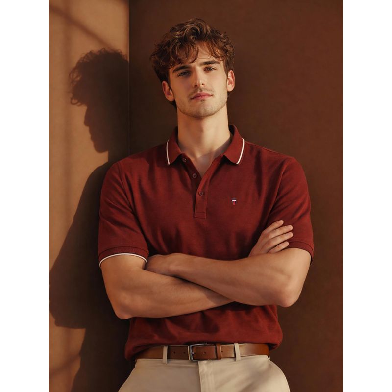 Louis Philippe Men's Rust Polo T-Shirt with Collar Tipping and Branding on Sleeve (M)
