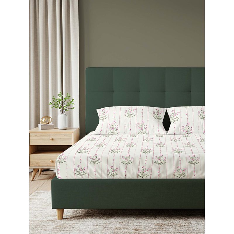 Urban Space Serene 200 Tc Cotton Bedsheets with Pillow Cover Pink (Queen)