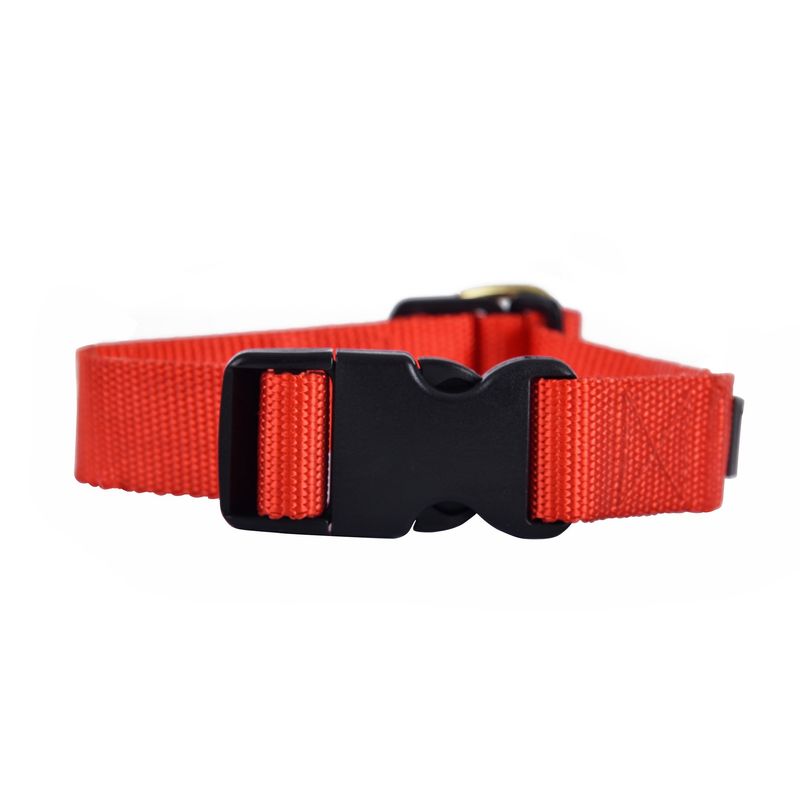 Heads Up For Tails Classic Nylon Dog Collar - Red (Small)