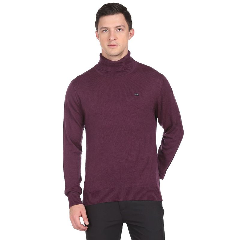 Arrow Sports Men Burgundy Turtleneck Long Sleeve Sweater (XL)