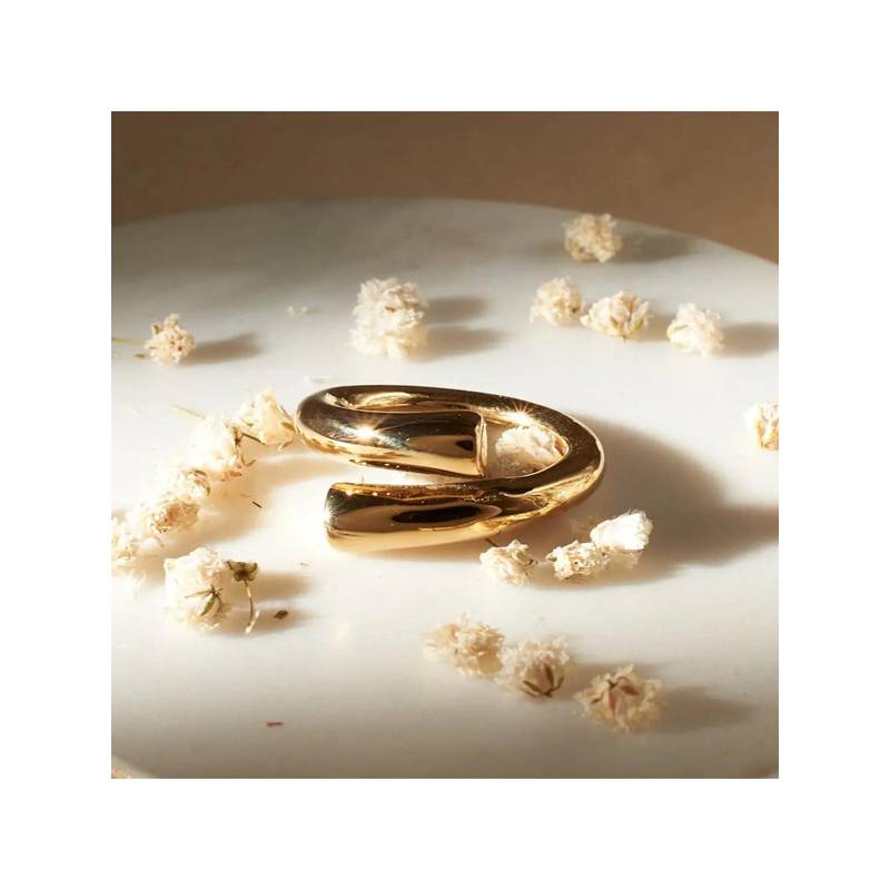 Salty Gold Renaissance Royalty Ring (18)