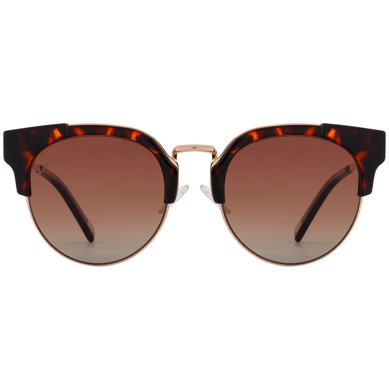 Velocity eyewear on sale