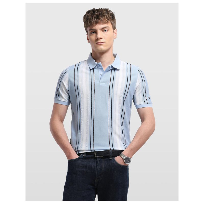 Arrow Sports Mens Vertical Striped Regular Fit Polo T-shirt (L)