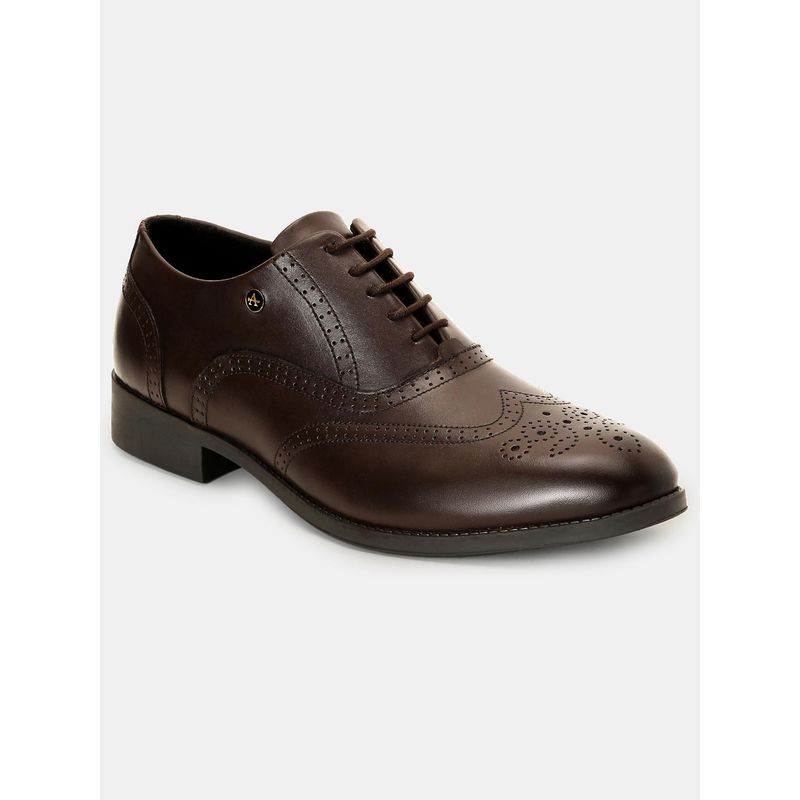 Arrow Sitko Brown Brogues for Men (UK 9)