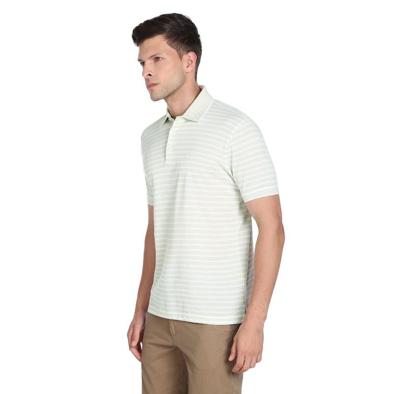 Arrow Green Horizontal Stripe Pique Polo T-Shirt (L)