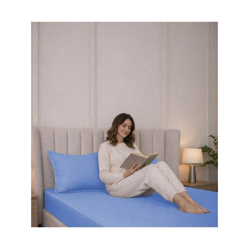 Belihode 300 TC, Pure Cotton Striped Fitted Queen bedsheet witrh 2 pillow cover (72 x 60 inch)