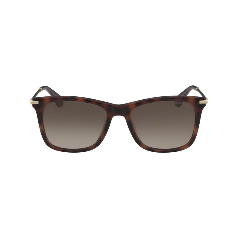 Calvin Klein Jeans Sunglasses with Brown Lens for Unisex Buy Calvin