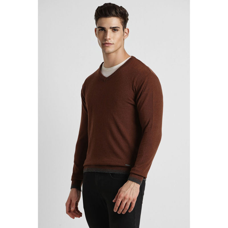 Peter England Men Brown Solid V Neck Sweater (M)