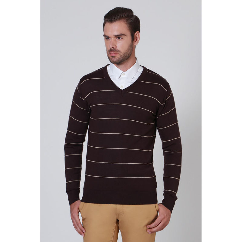 Allen Solly Mens Brown Stripe V-Neck Full Sleeves Sweater (S)