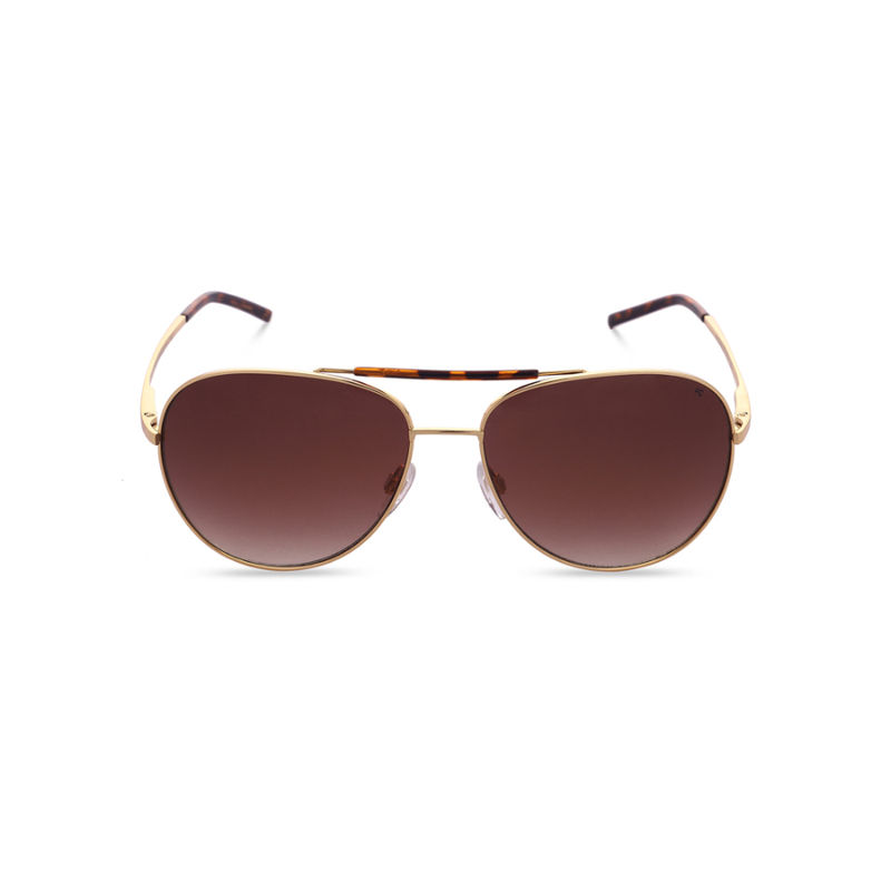 French Connection Brown Lens Aviator Sunglass Full Rim Gold Frame With