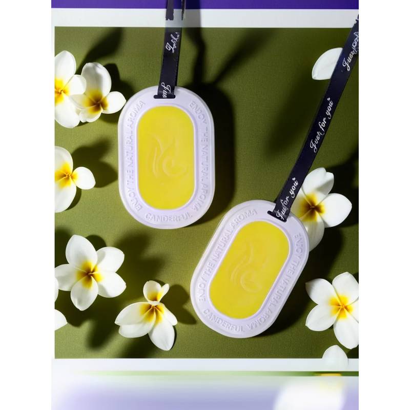 The Better Home Lemon Zest Wardrobe Air Freshener (2Pcs)