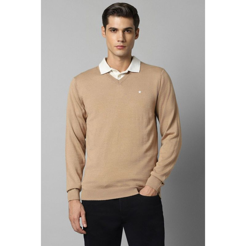 Louis Philippe Men Beige Solid V Neck Full Sleeves Sweater (L)