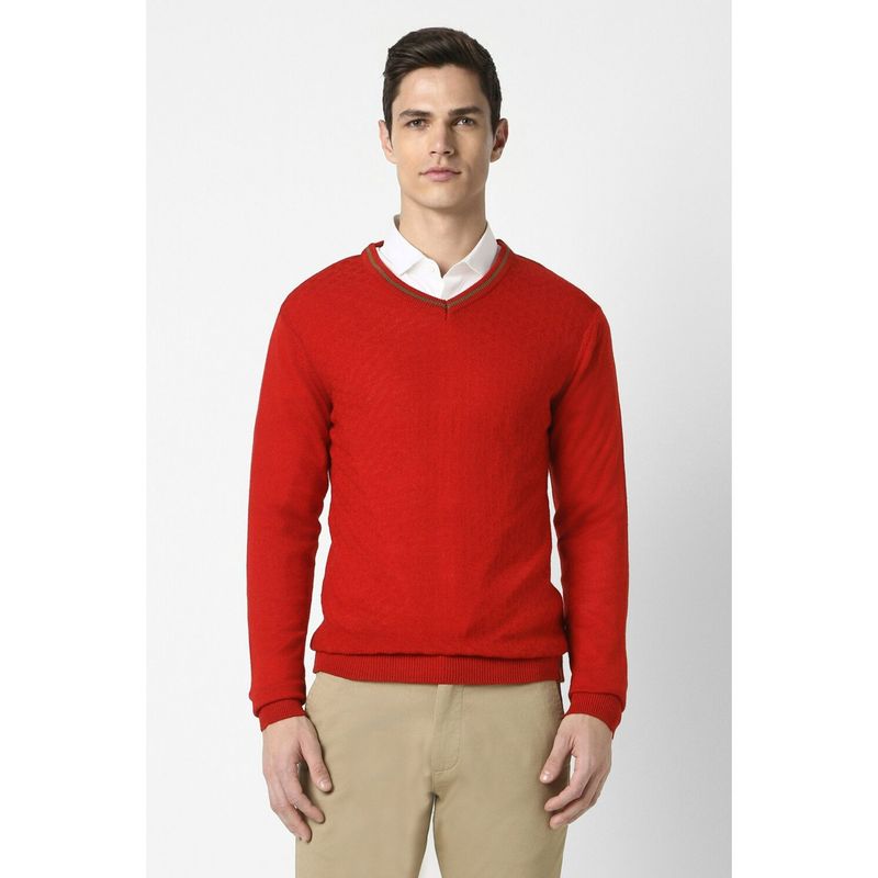 Peter England Men Red Textured V Neck Sweater (S)