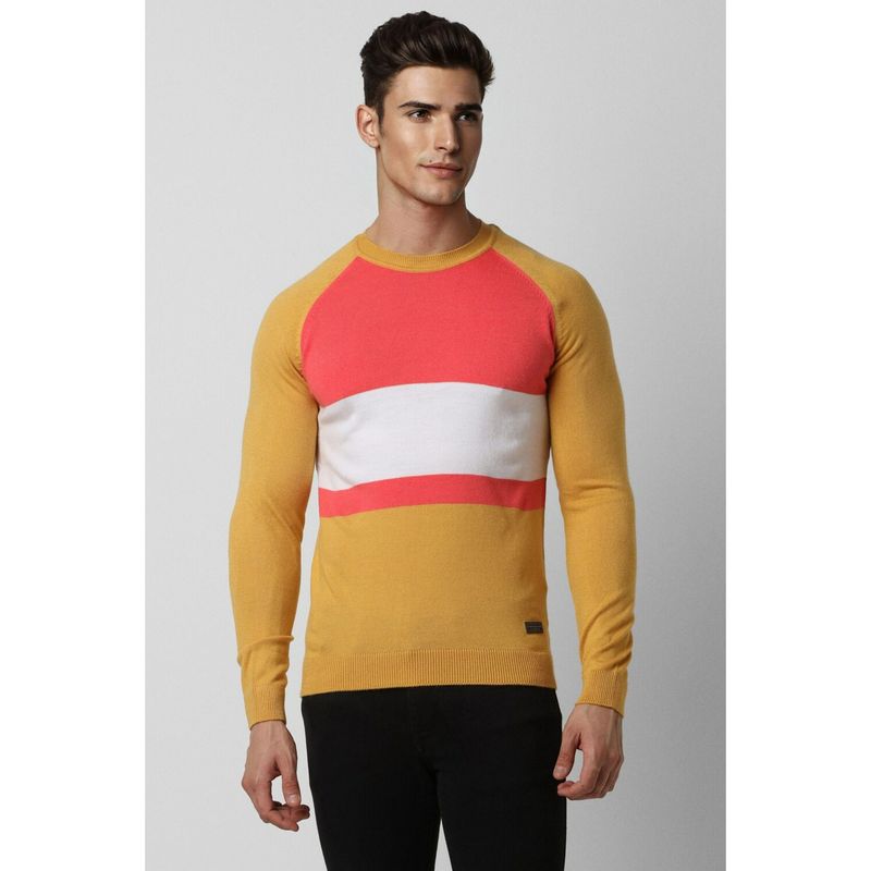 Peter England Men Yellow Colorblock Crew Neck Sweater (S)