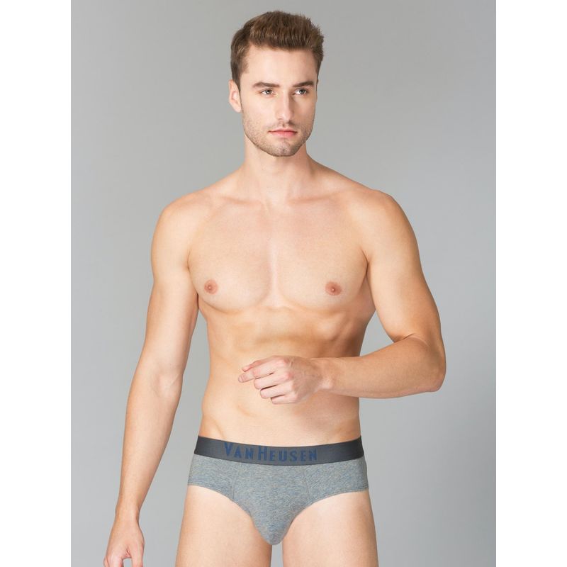Van Heusen Men Soft Touch Elasticized Waistband & Superior Comfort Briefs - Grey