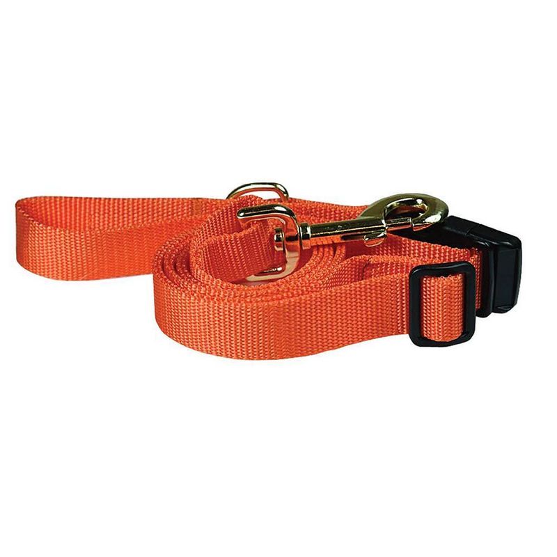 Heads Up For Tails Adjustable Nylon Dog Leash Orange Buy Heads Up 