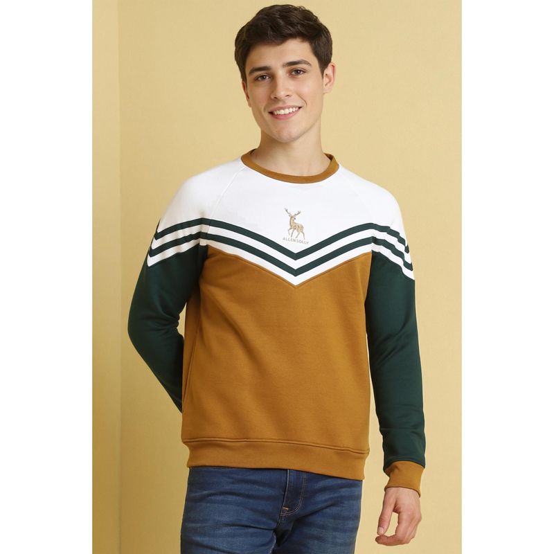 Allen Solly Men Multi-Color Crew Neck Full Sleeves Casual Sweatshirt (L)