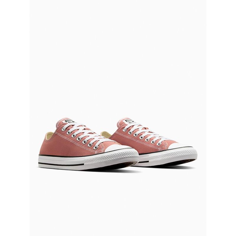 Converse Unisex Chuck Taylor All Star Low Top Sneaker (UK 3)