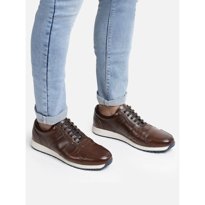 HATS OFF ACCESSORIES Men Perforated Genuine Leather Dark Brown Lace Up Sneakers (EURO 42)