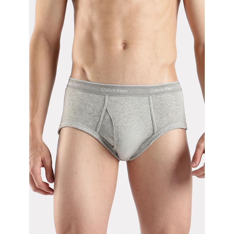 Calvin Klein Grey Solid Low Rise Brief (S)