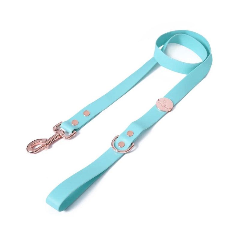 Heads Up For Tails Pastel Pawprint Rain Friendly Dog Leash - Green (Small)