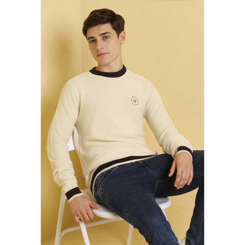 Allen Solly Men Cream Solid Crew Neck Full Sleeves Sweater (M)