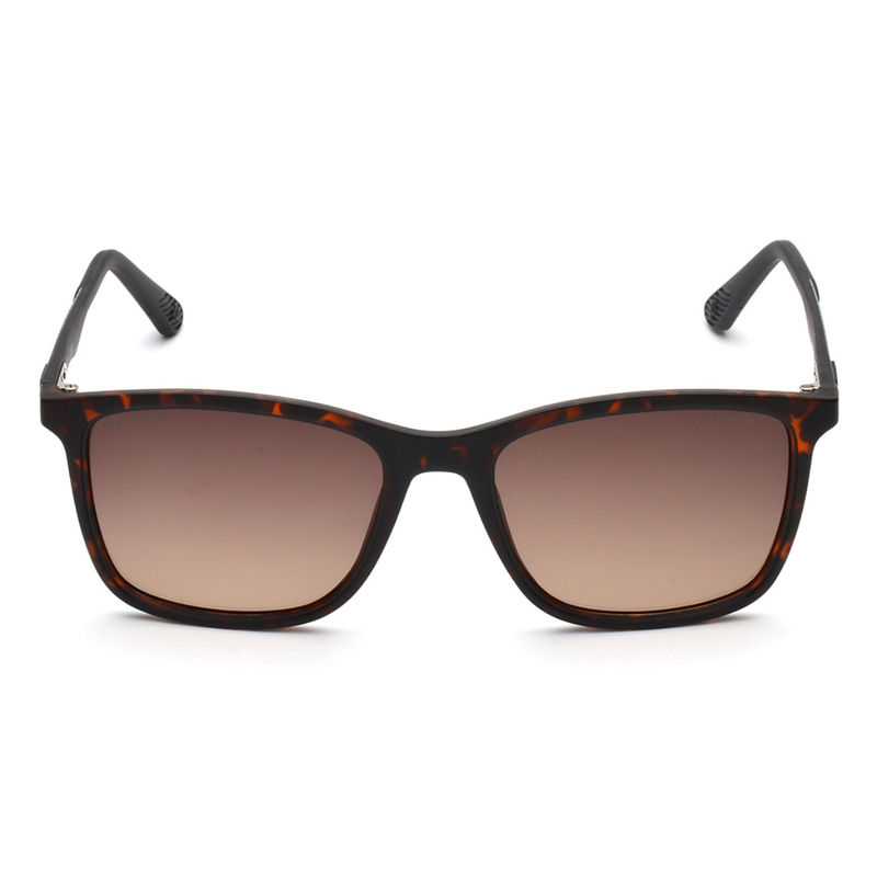 Police Sunglasses Square Brown for Men's (SPL780K 878P) Buy Police