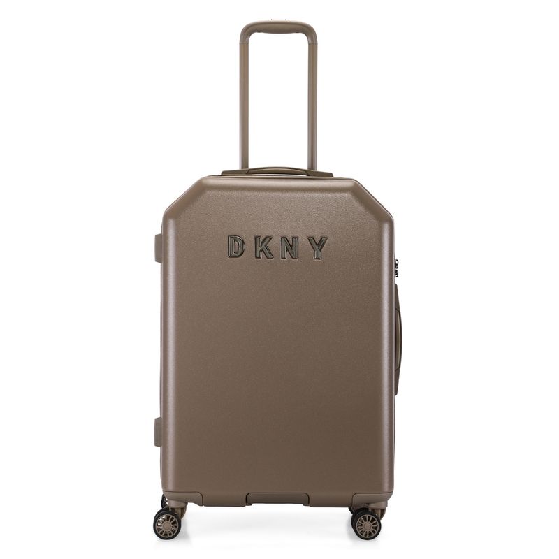 DKNY Allure Range Ash Color Hard Luggage (M)