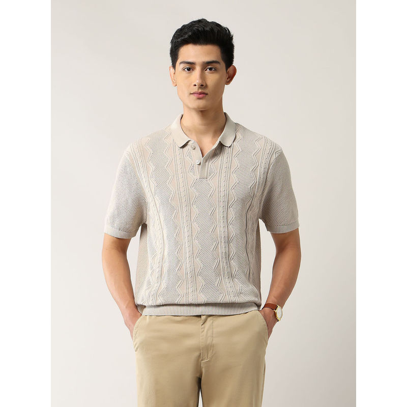Arrow Newyork Men Beige Cotton Collar Neck Regular Fit Polo T-Shirt (XL)