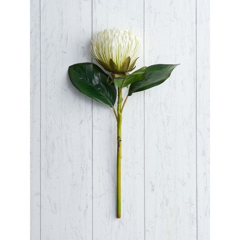 Buy Pure Home + Living WHITE PIN CUSHION PROTEA STEM Online