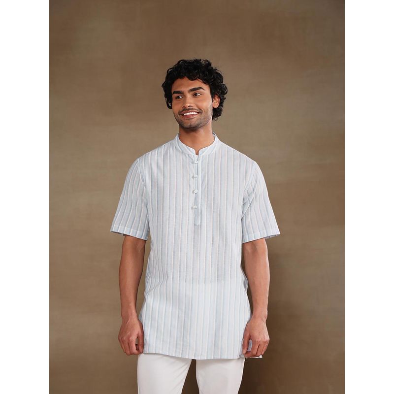 Fabindia Blue Cotton Stripe Short Kurta (S)