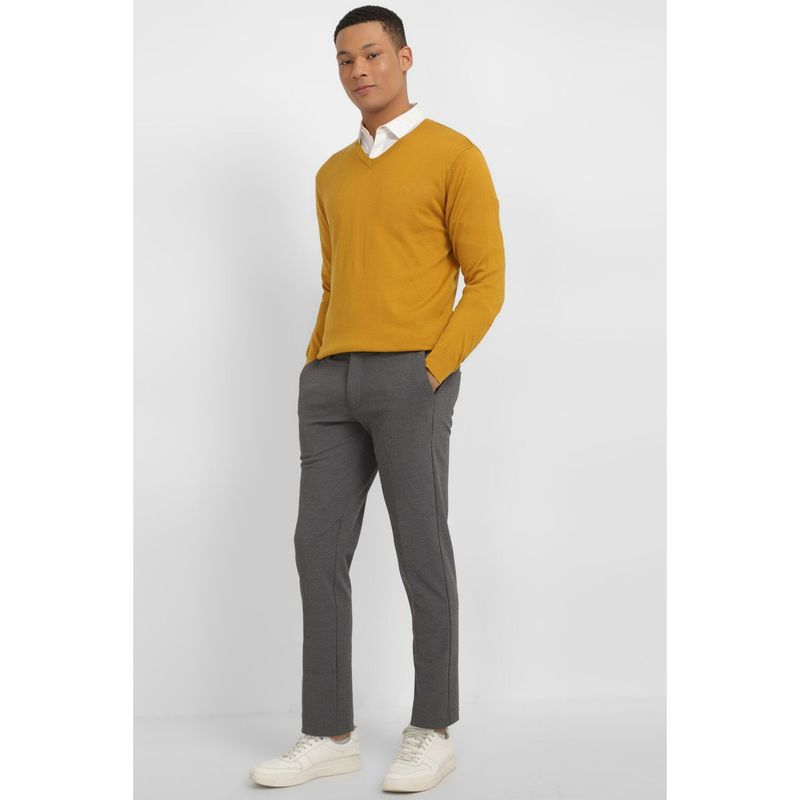 Allen Solly Men Yellow Solid V Neck Full Sleeves Sweater (3XL)