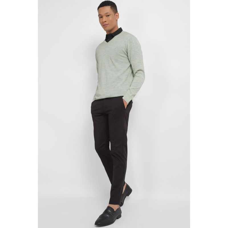 Allen Solly Men Green Textured V Neck Full Sleeves Sweater (S)