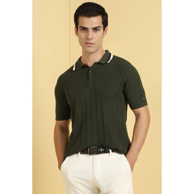 Allen Solly Men Olive Textured Polo Neck T-Shirt (L)
