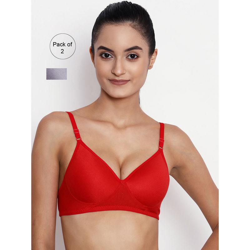 Abelino Pack Of 2 Non-wired Lightly Padded T-shirt Bras. - Multi-Color (40B)