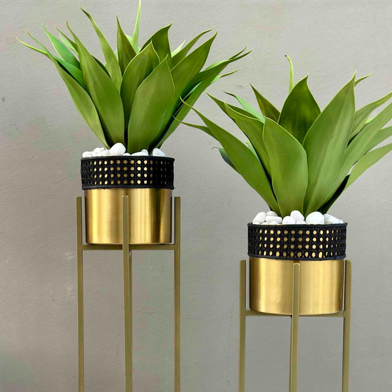 Mason Home Manila Rattan Gold & Black Planter Set Of 2 Buy Mason Home Manila Rattan Gold