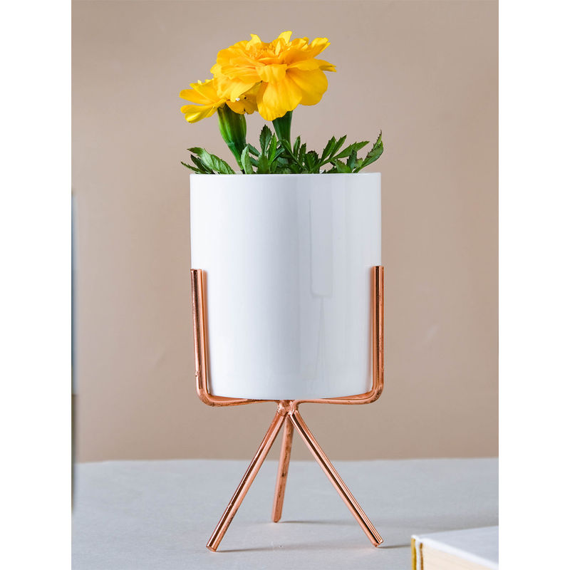 Nestasia Ceramic Flower Pot Buy Nestasia Ceramic Flower Pot Online at