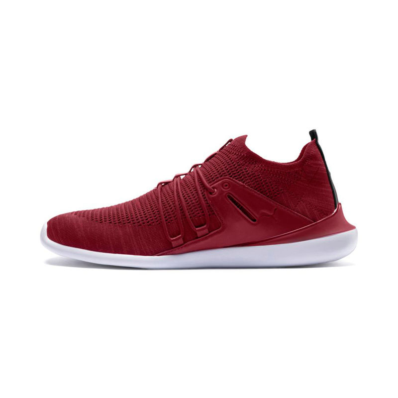Buy PUMA Maroon Scuderia Ferrari Motorsports Evo Cat Sock Lace LS