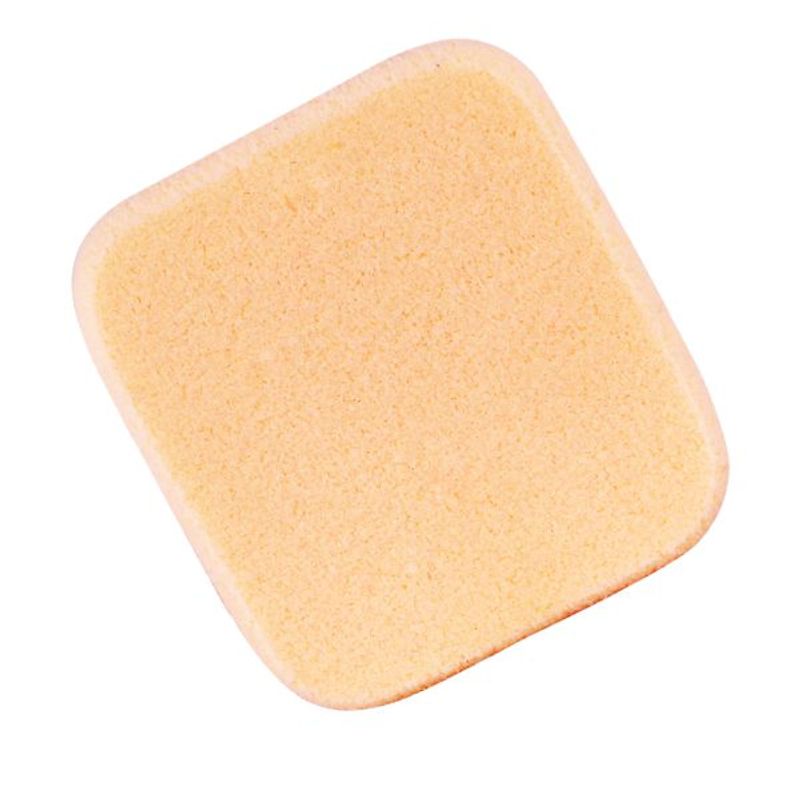 VEGA Make-Up Foundation Sponge (NBRS): Buy VEGA Make-Up Foundation Sponge  (NBRS) Online at Best Price in India | Nykaa