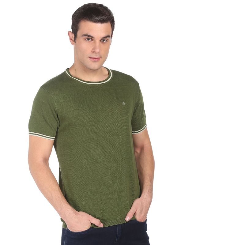 Arrow Men Olive Striped Neck Premium Solid T-Shirt (L)