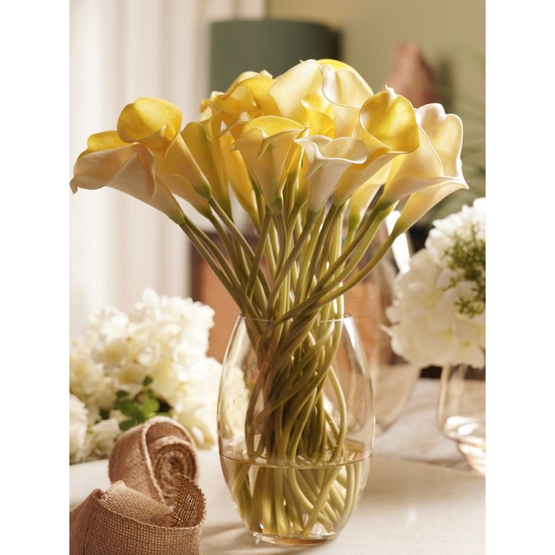 Pure Home + Living Clear Amber Oblong Glass Vase (S)