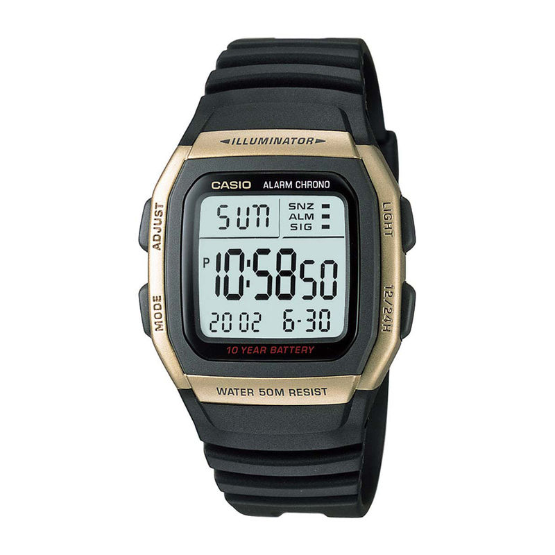 casio d034