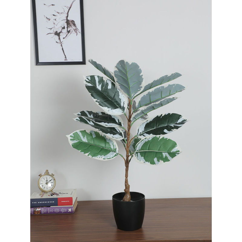 Banana Leaf Plant Home Decor