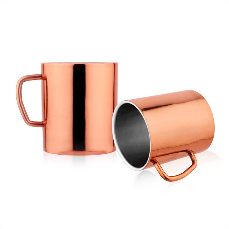 Buy FNS Coffee Mugs - Double Wall BPA Free - Tea Cup Wide Handle