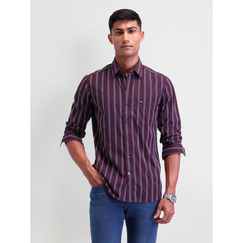 Arrow Sports Stripes Purple Full Sleeves Collar Neck Shirt (38)