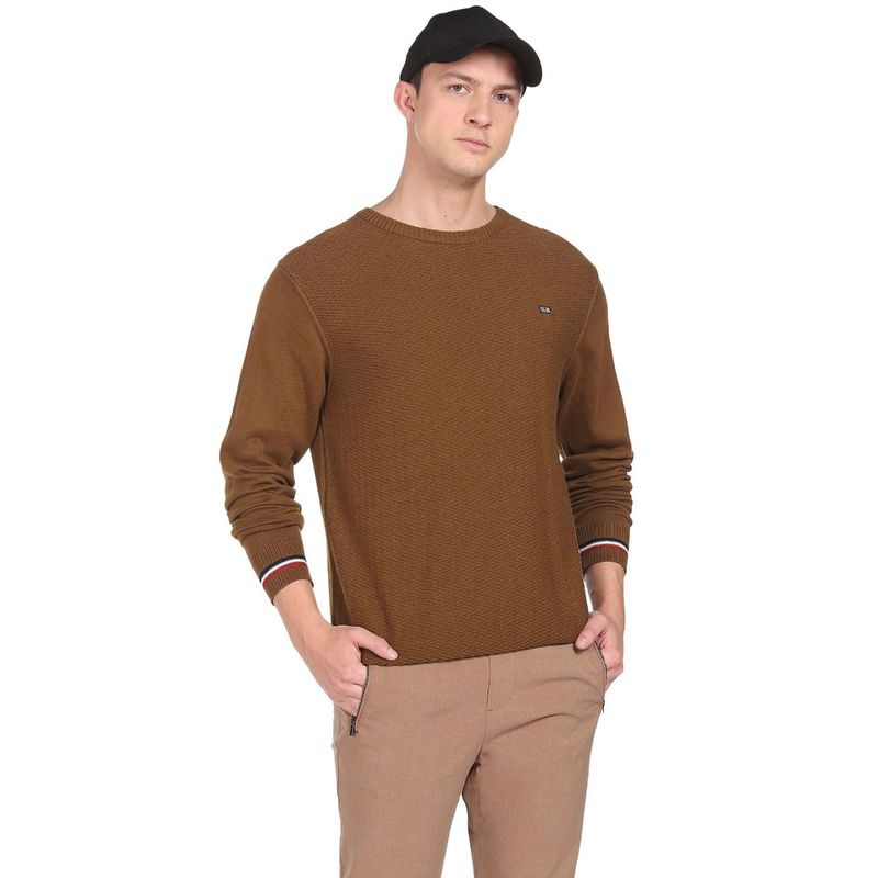 Arrow Sports Men Brown Round Neck Solid Sweater (XL)