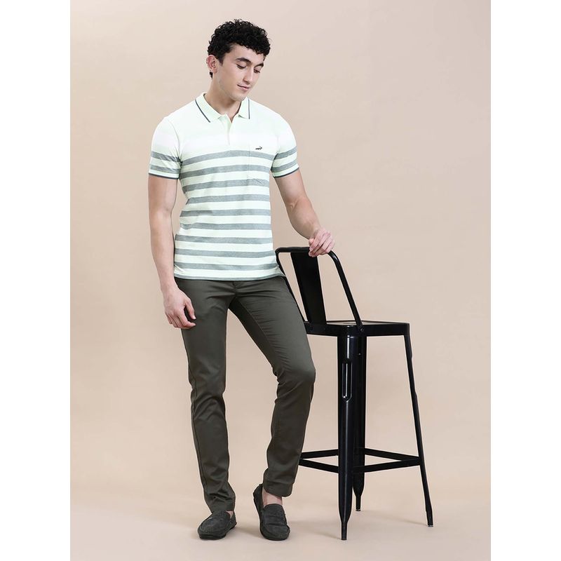 Crocodile Men'S Regular Fit Green Birdseye Engineered Stripe Slim Fit Polo T-Shirt (S)