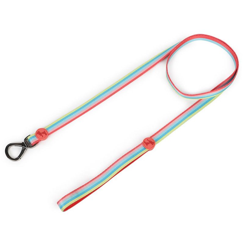 Heads Up For Tails Rainbow Popsicle Dog Leash (Large)