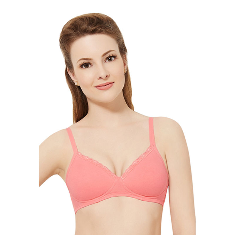 Buy Amante Solid Padded Wirefree Cotton Casual T Shirt Bra BRA10202 - Bra  for Women 174832